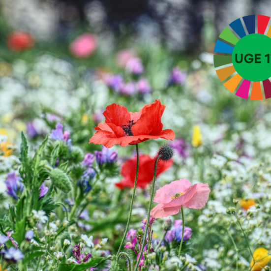 Blomstermark med logo fra uge 17